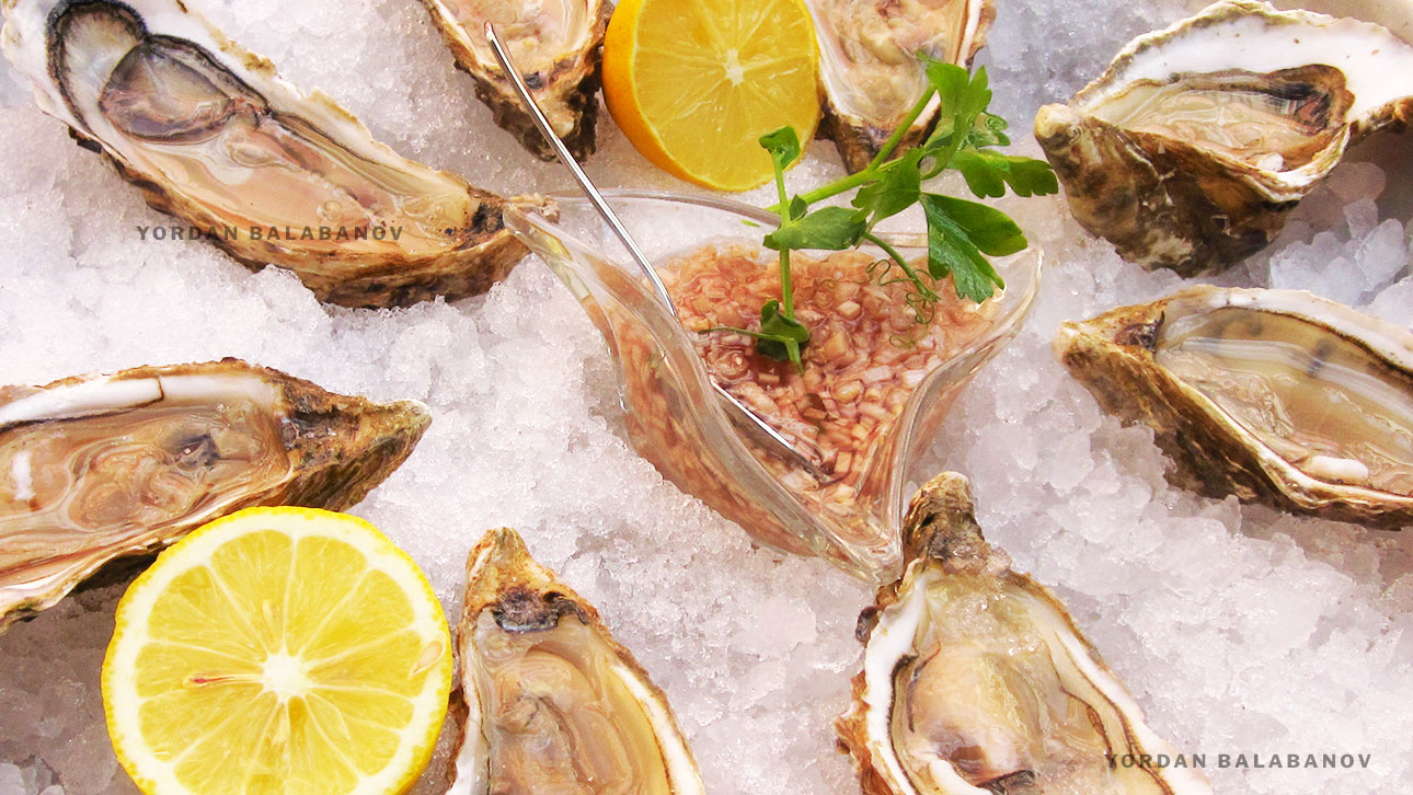 Exploring Oyster Paradise: Discovering the Finest Oysters in the World