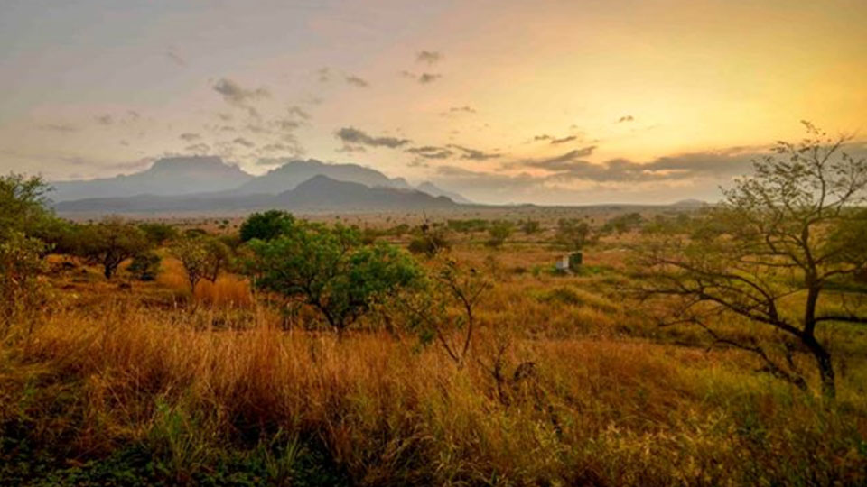 Get ready for an unspoiled eco-adventure – Uganda awaits you! Get ready for an unspoiled eco-adventure – Uganda awaits you!