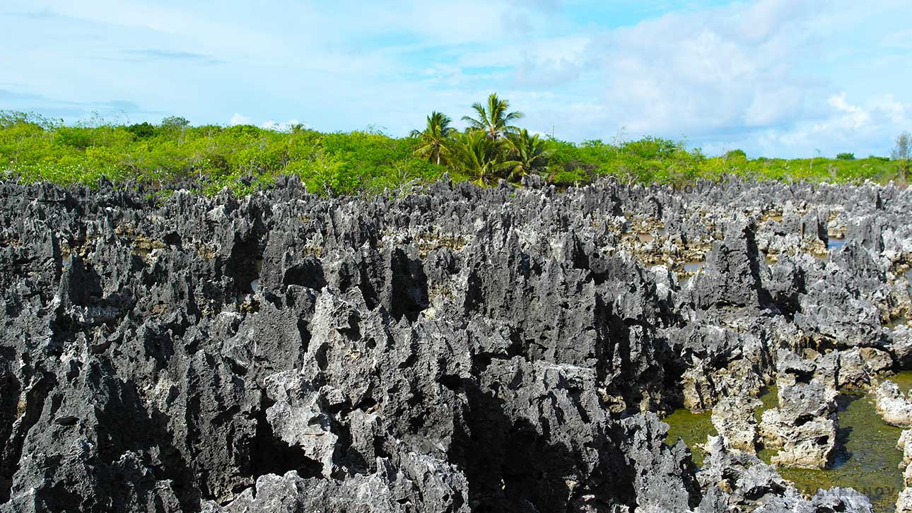 Discovering Hell: An Unforgettable Journey to Cayman Islands' Most Unusual Tourist Destination Discovering Hell: An Unforgettable Journey to Cayman Islands' Most Unusual Tourist Destination