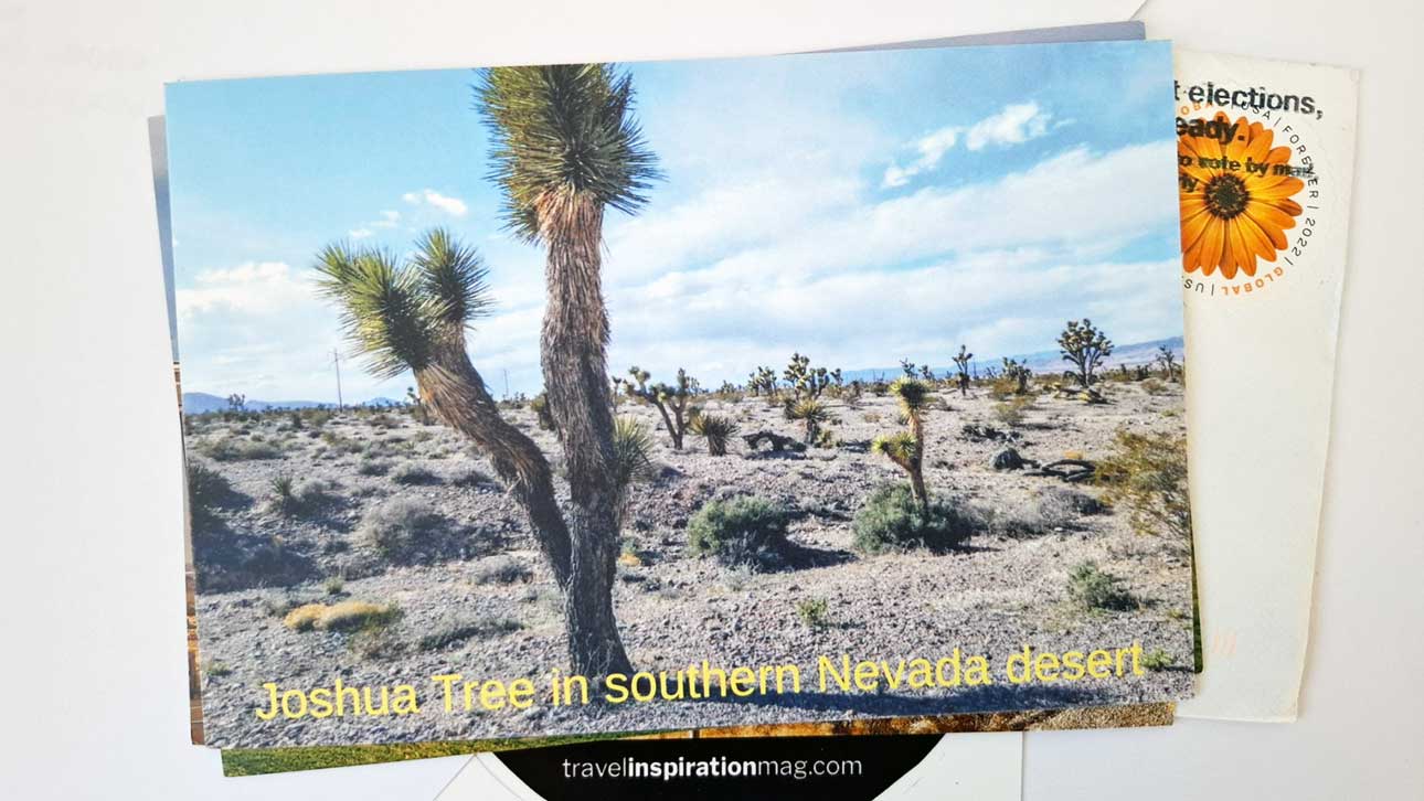 Discovering Pahrump: A Hidden Gem in the Mojave Desert Discovering Pahrump: A Hidden Gem in the Mojave Desert